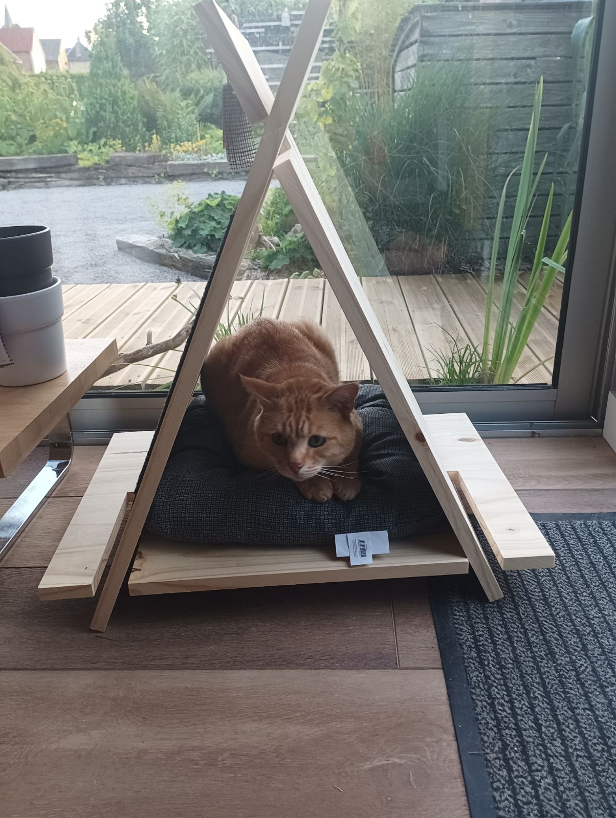 Tipi pour chat