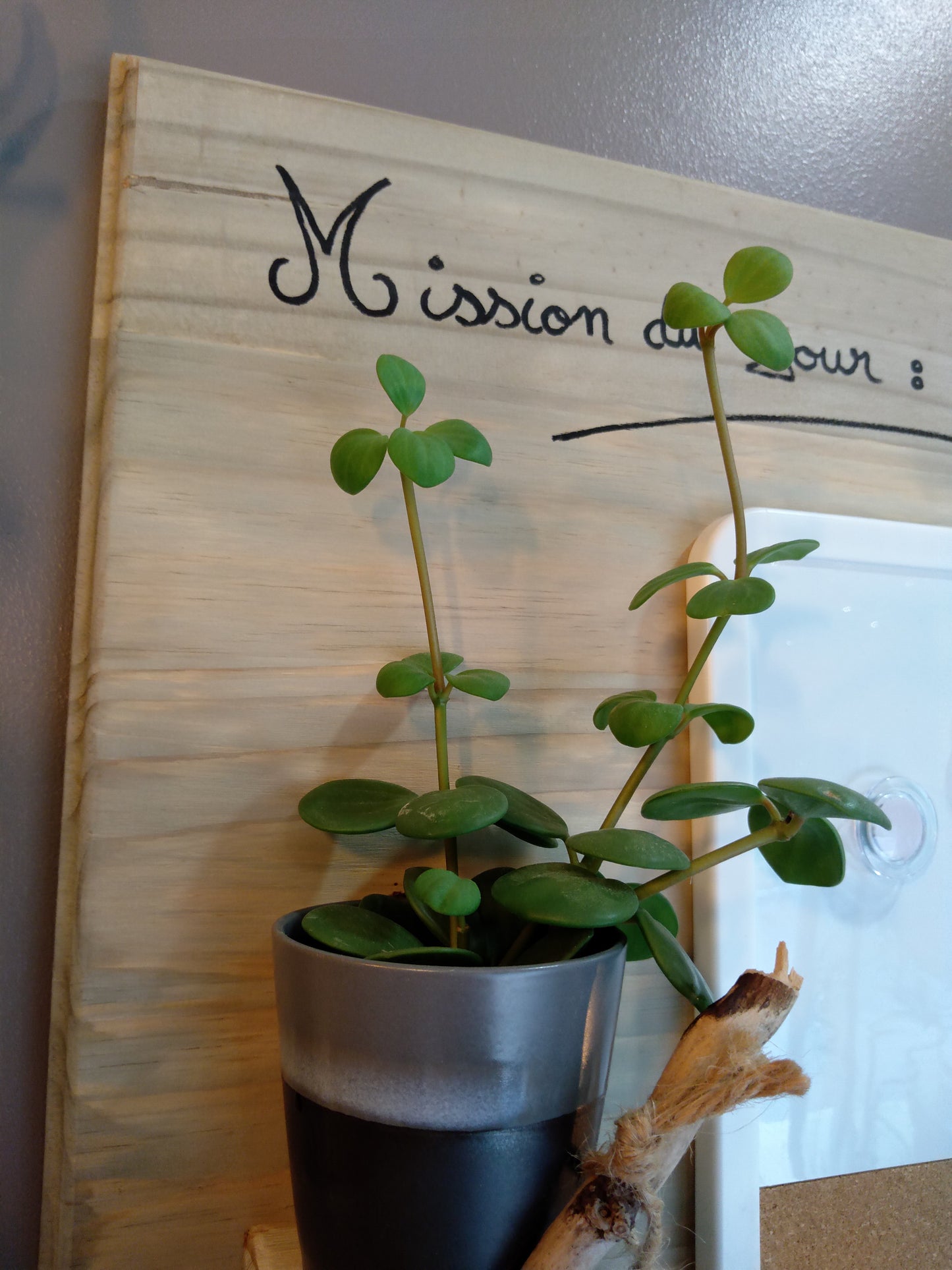 Tableau pense bête