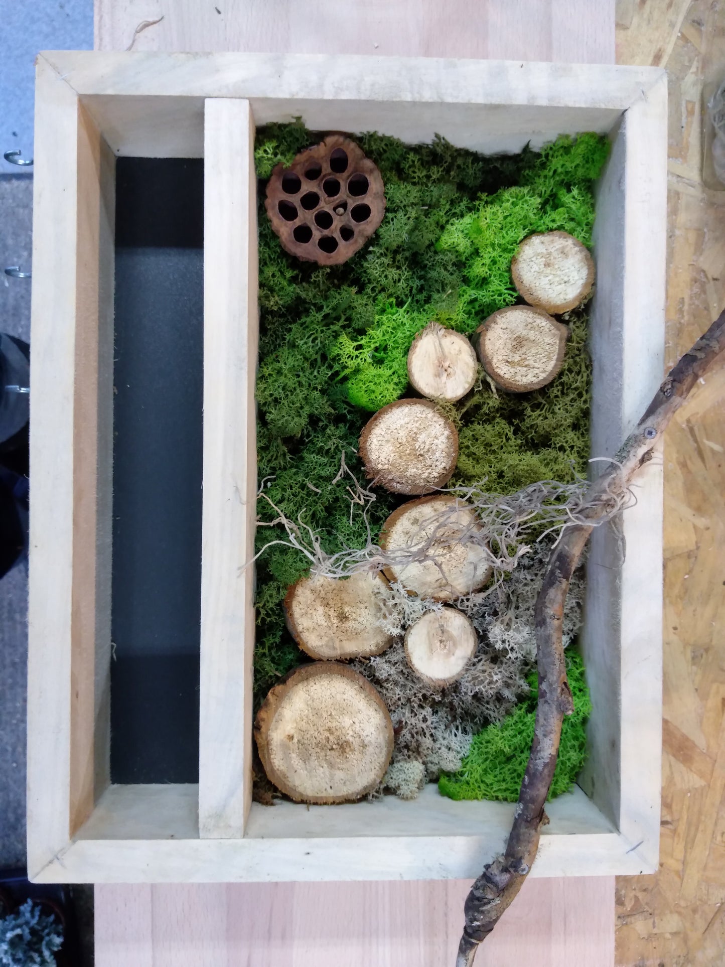 cadre végétal stabilisé 40x30cm avec vide poche