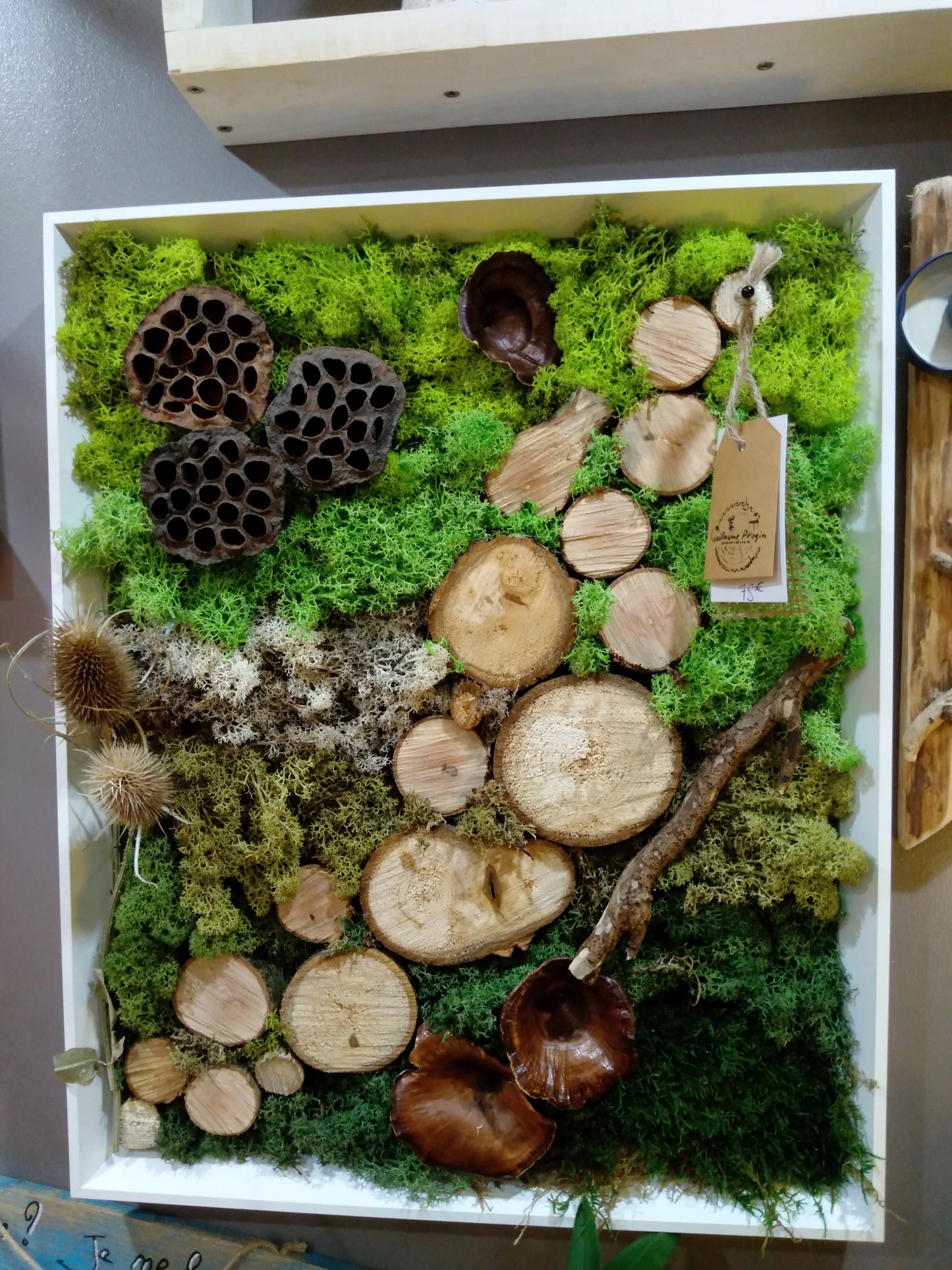 X Cadre végétal stabilisé 52,5x42,5x5cm