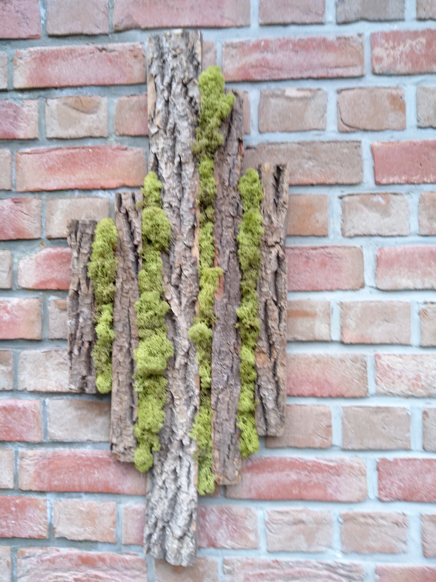Cadre végétal 76cmx33cm