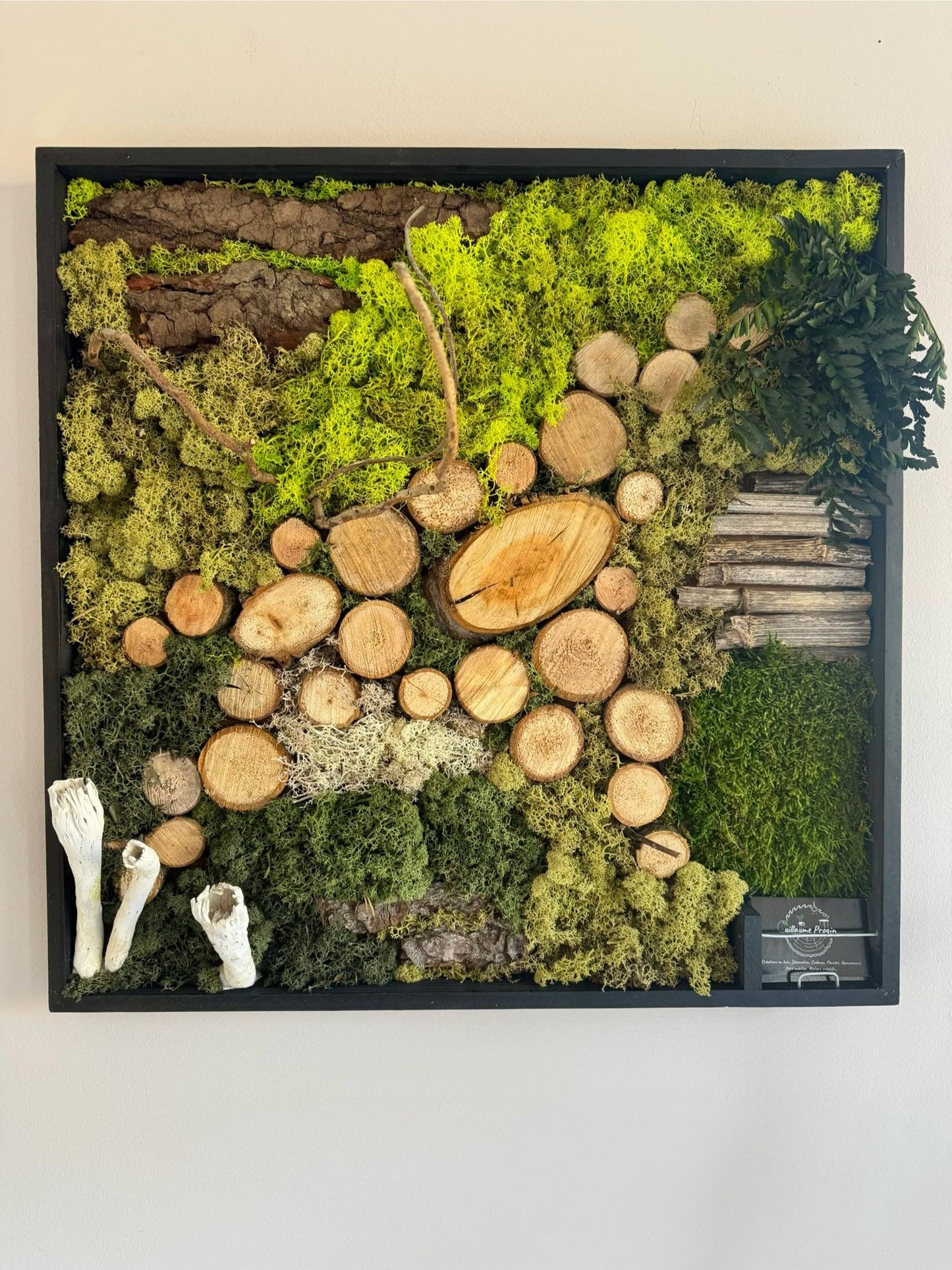 Cadre végétal stabilisé 60x60cm