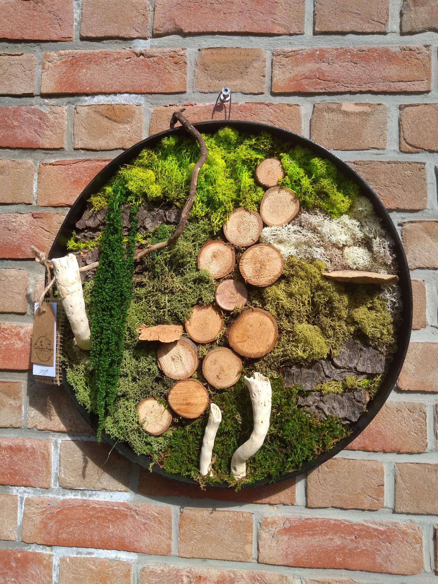 Cadre végétal stabilisé rond 45 cm