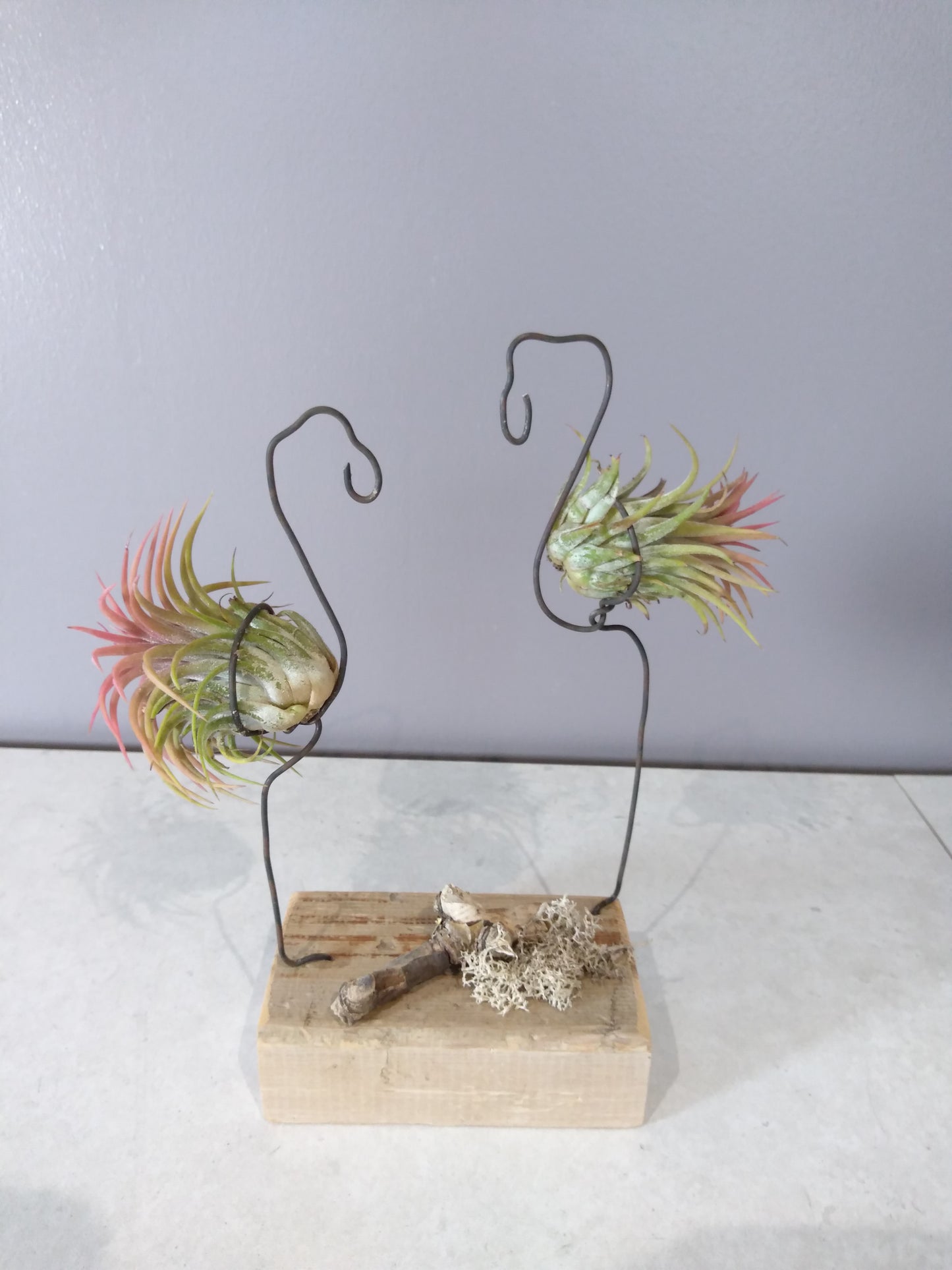 XDécoration flamand rose