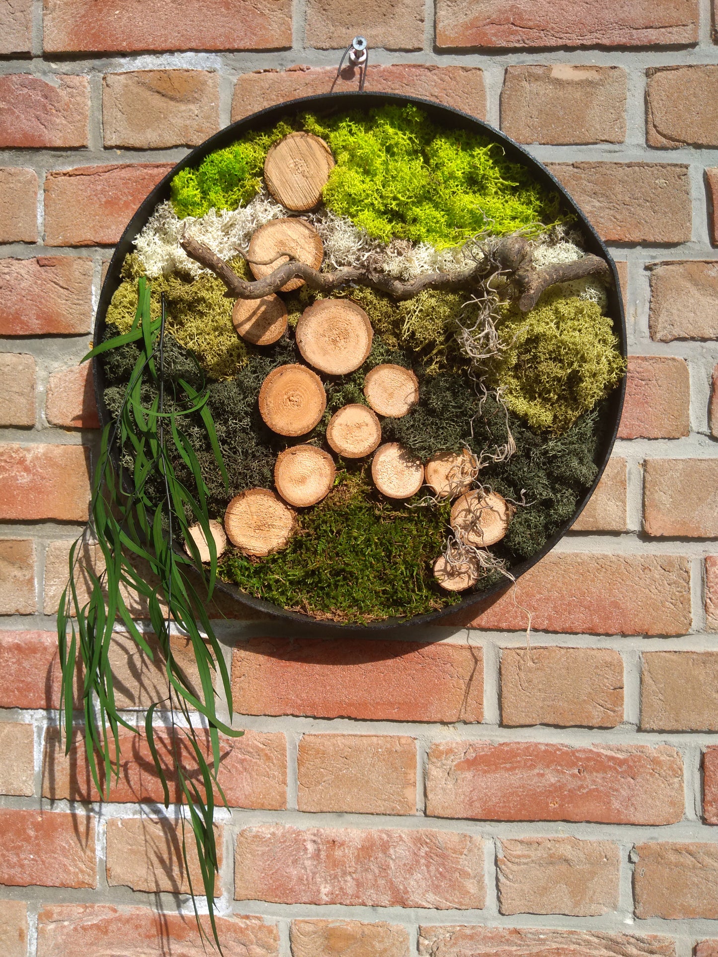 Cadre végétal stabilisé rond 40cm