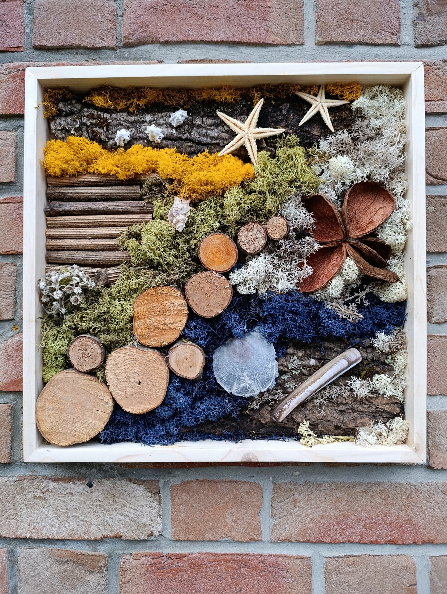 Cadre végétal stabilisé 40x40cm