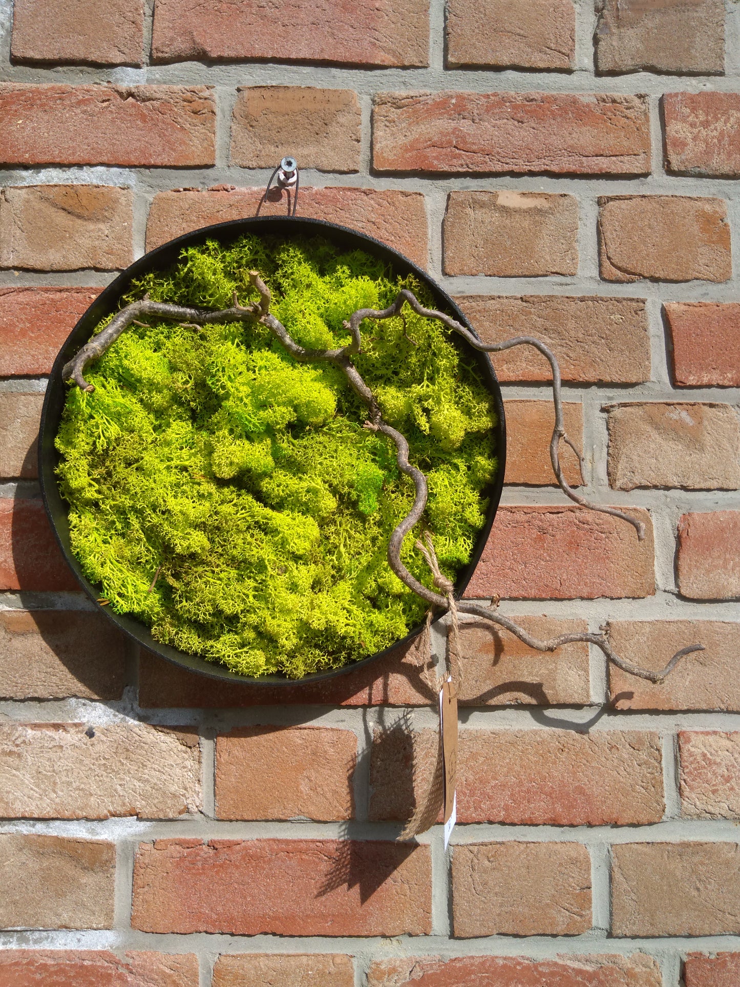Cadre végétal stabilisé rond 30cm