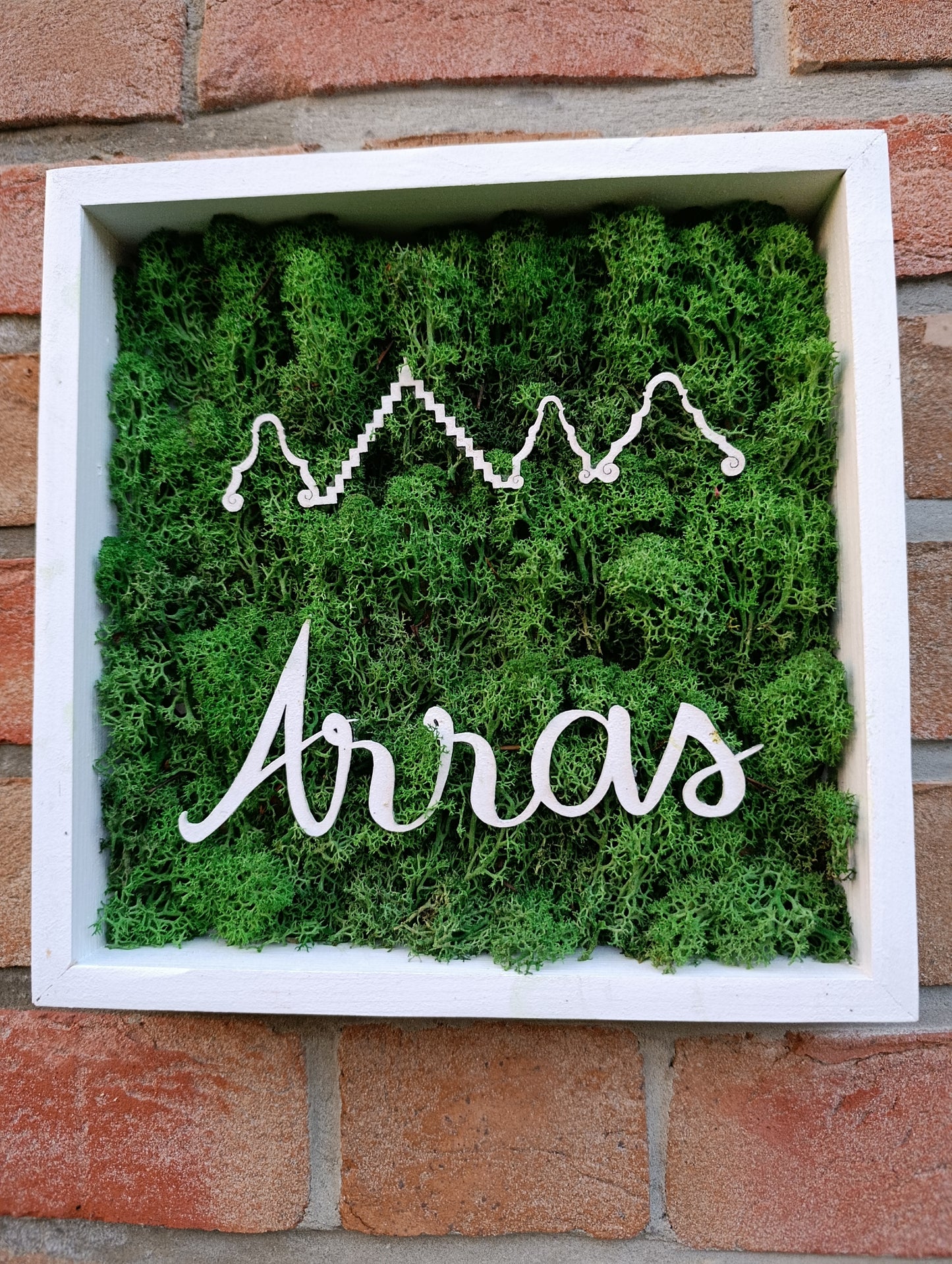 Cadre végétal stabilisé maisons d'Arras