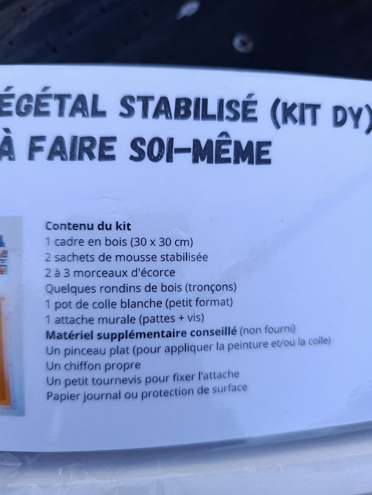 Kit à faire soi-même cadre végétal couleur des mousses (rose violet magenta et gris)cadre peint en blanc