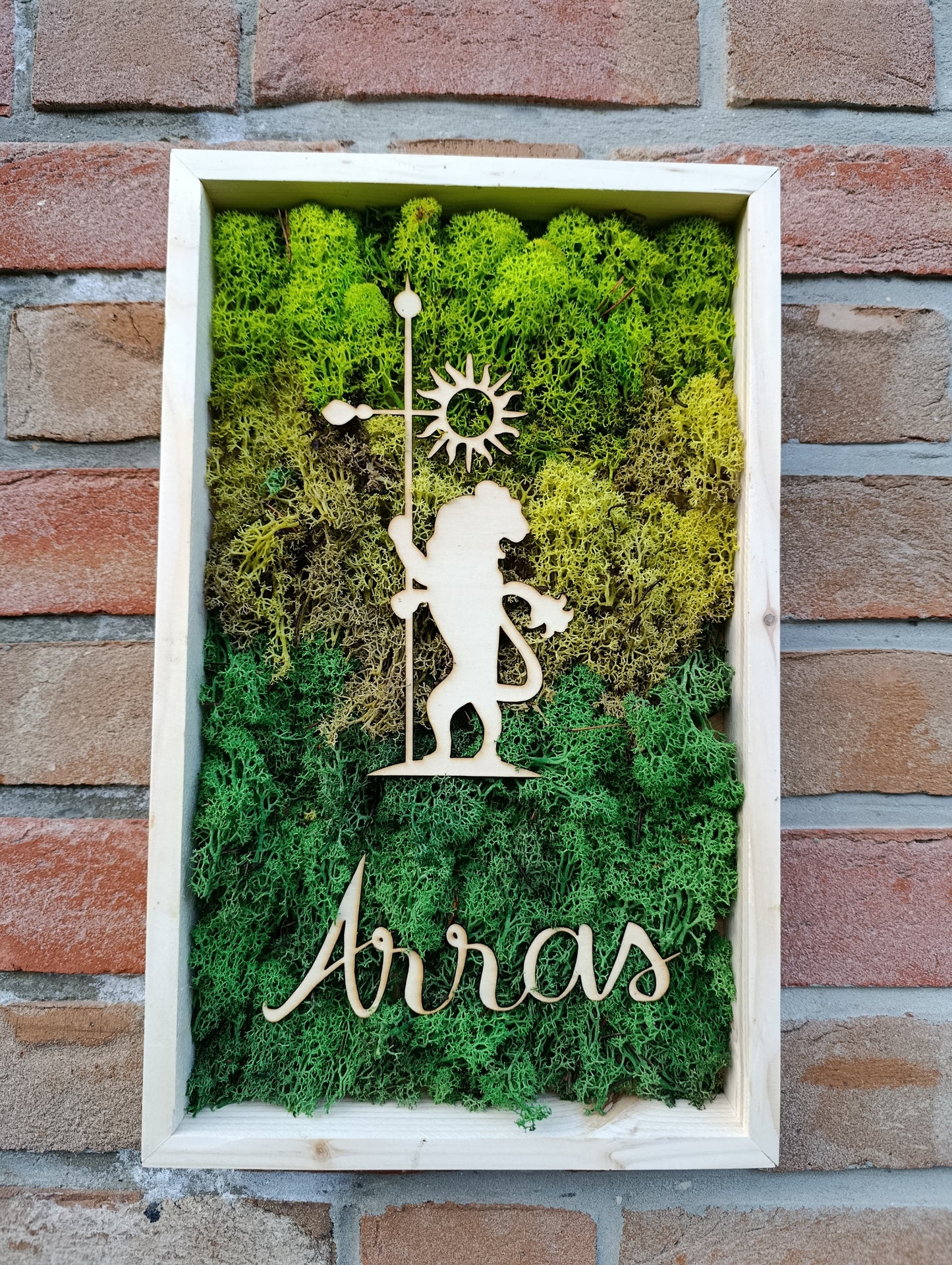 Cadre végétal stabilisé lion d'Arras 38x25cm