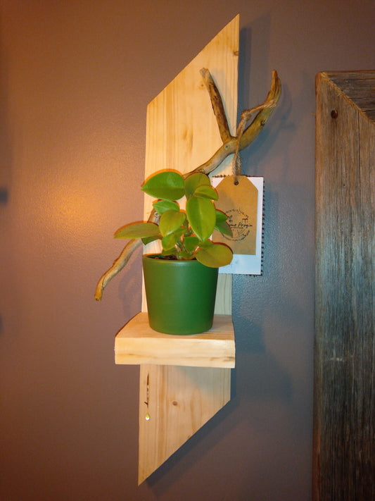 Étagère plantes vertes