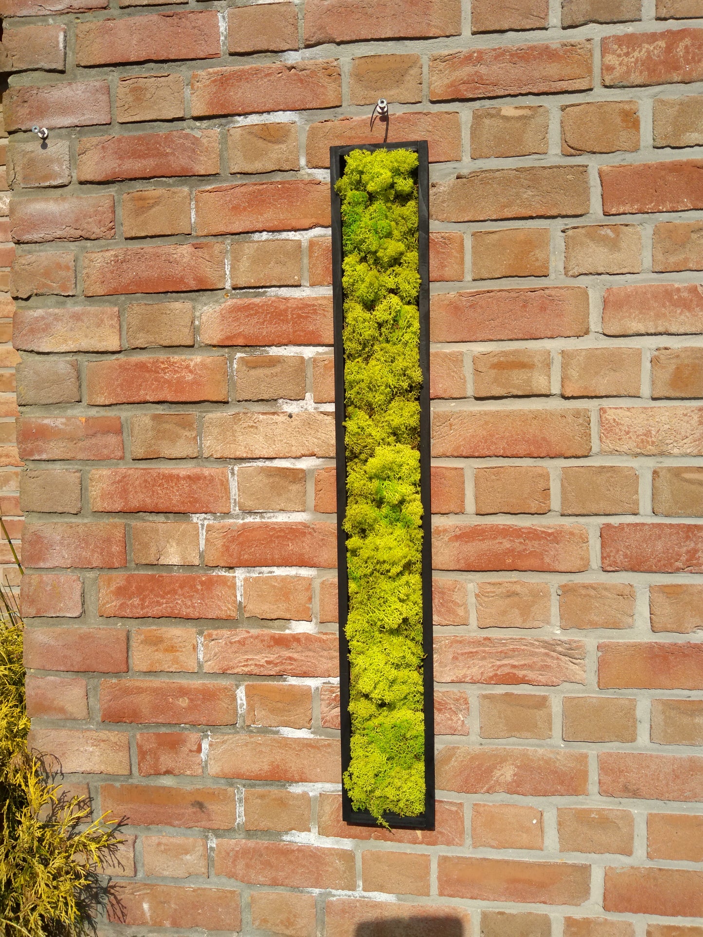 Cadre végétal stabilisé vertical 90x10cm