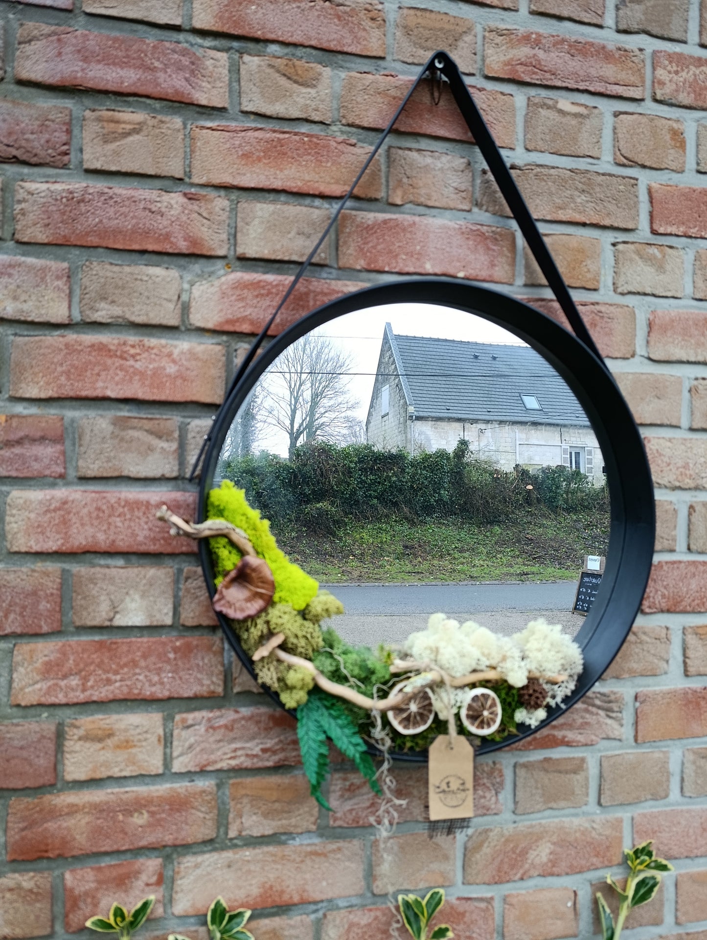 Miroir déco végétaux stabilisés
