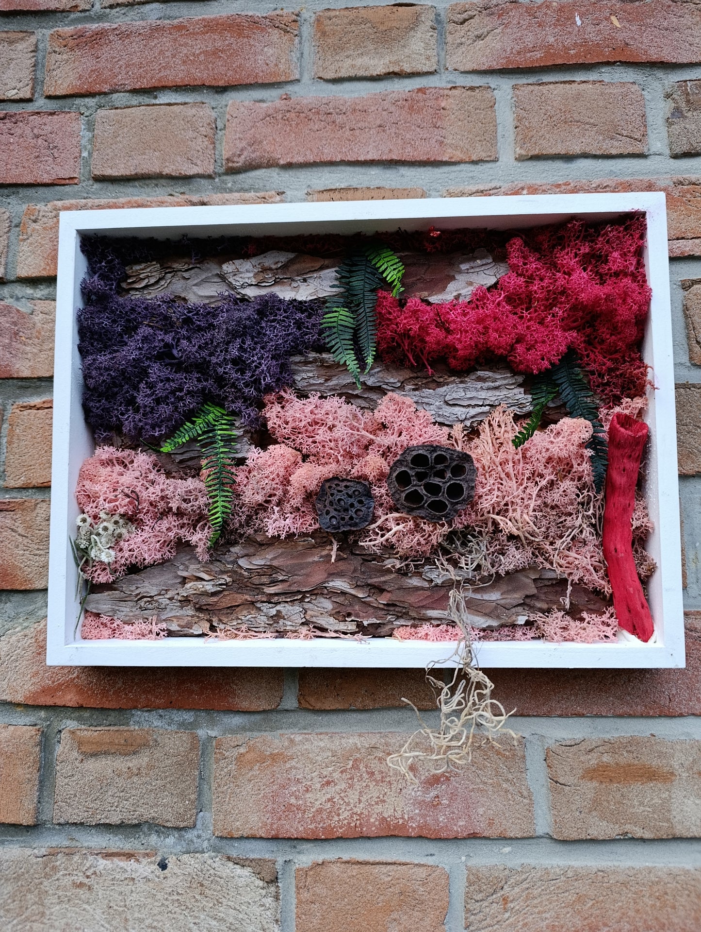 Cadre végétal stabilisé 30x40cm