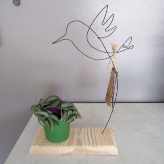 X Colibri fil de fer et Tradescantia