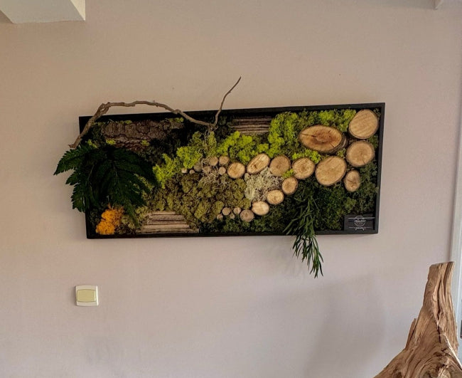 Cadre végétal stabilisé 100x40cm