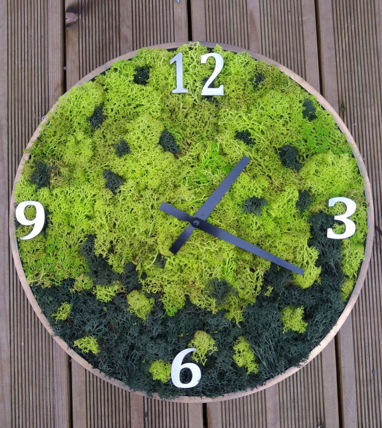 Horloge murale végétal stabilisé