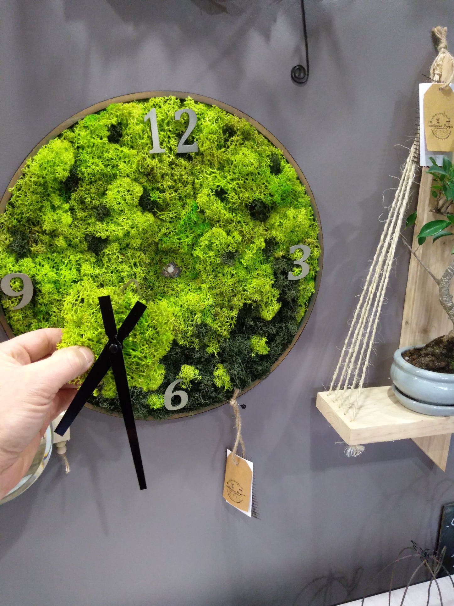 Horloge murale végétal stabilisé