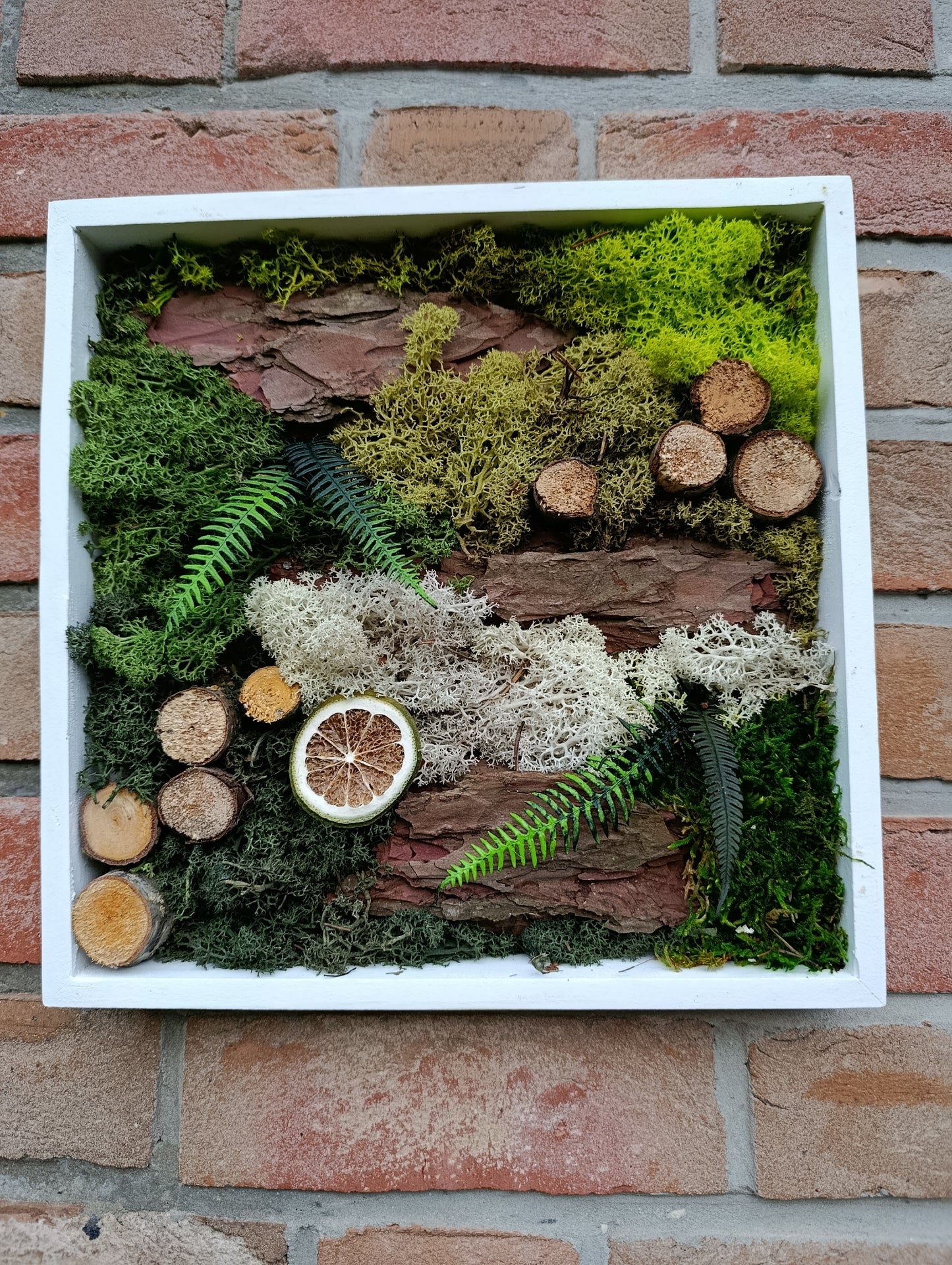 Cadre végétal stabilisé 30x30cm blanc