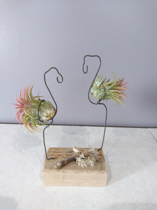 XDécoration flamand rose