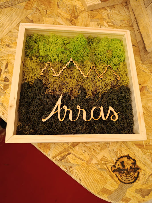 Cadre végétal stabilisé "maisons d'Arras"