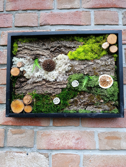 Cadre végétal stabilisé 30x40cm