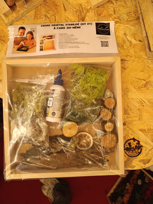 Kit cadre végétal à faire soi-même