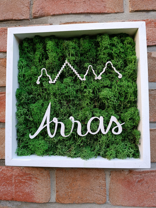 Cadre végétal stabilisé maisons d'Arras