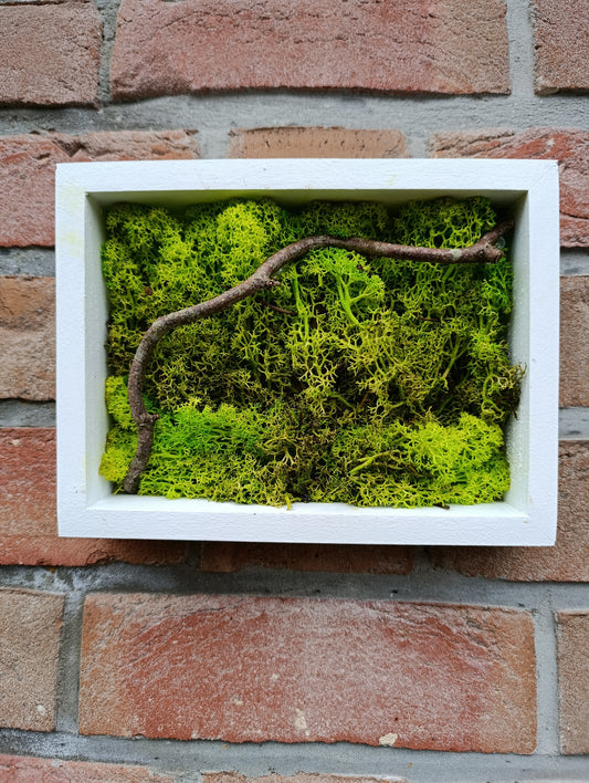 Cadre végétal stabilisé 20x15cm