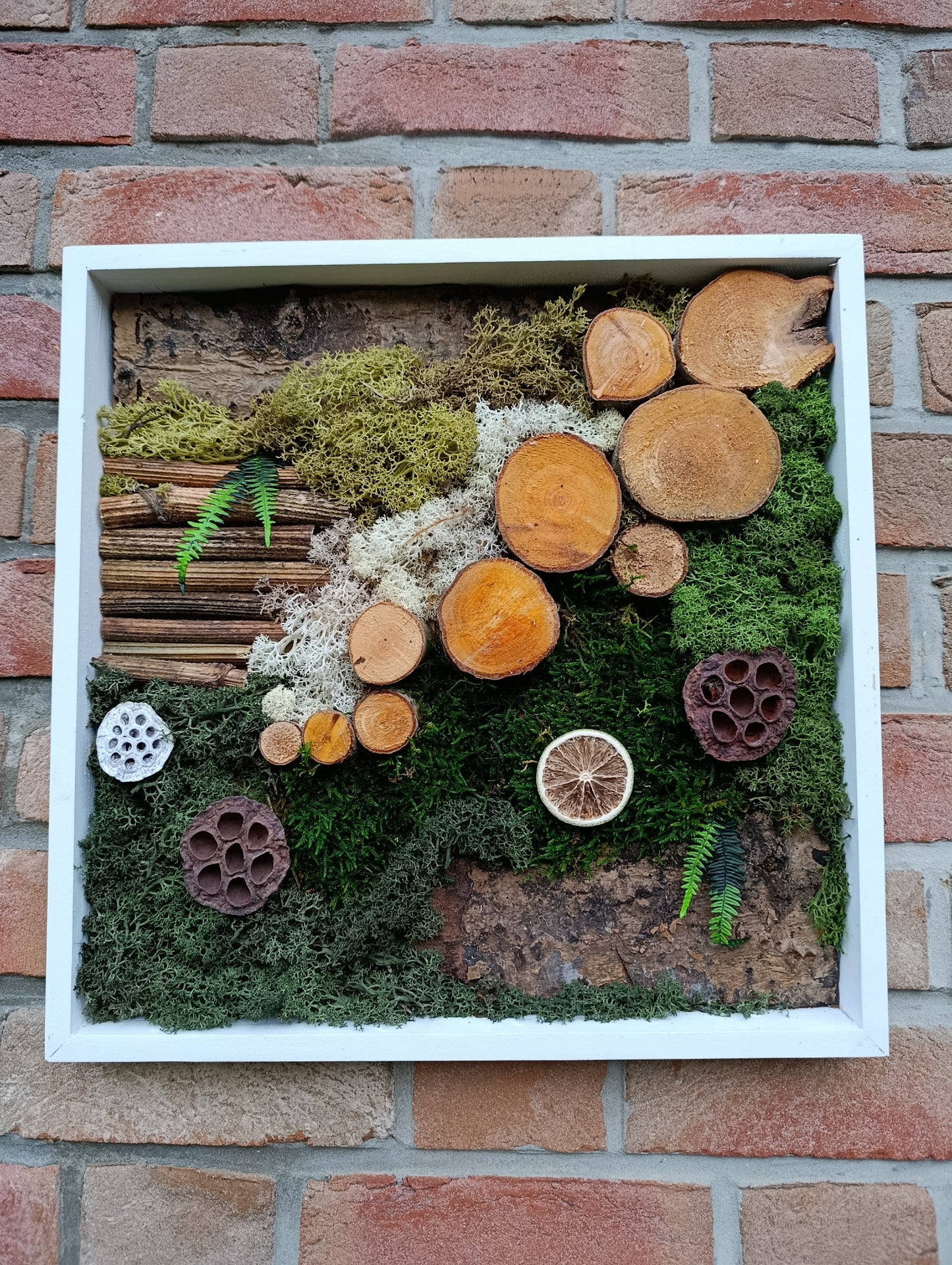 Cadre végétal stabilisé 40x40cm blanc