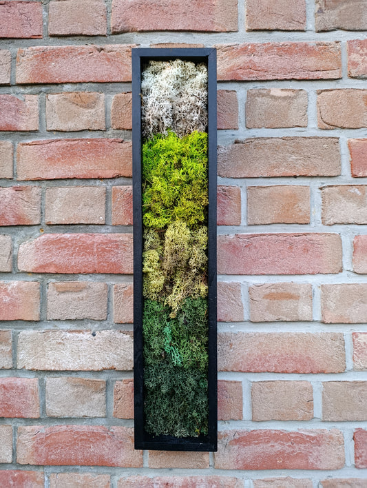 Cadre végétal stabilisé vertical 60x12x3, 5cm