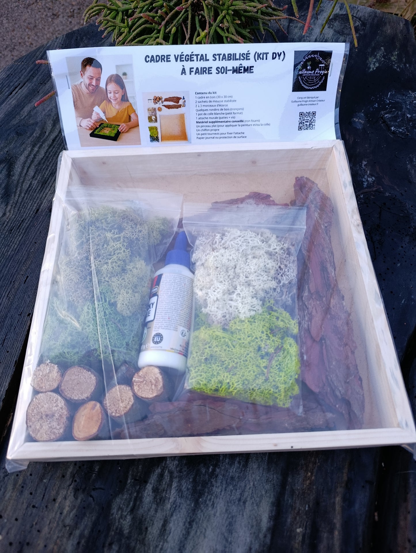Kit cadre végétal à faire soi-même cadre naturel couleurs de mousse vert foncé vert clair vert tendre et gris