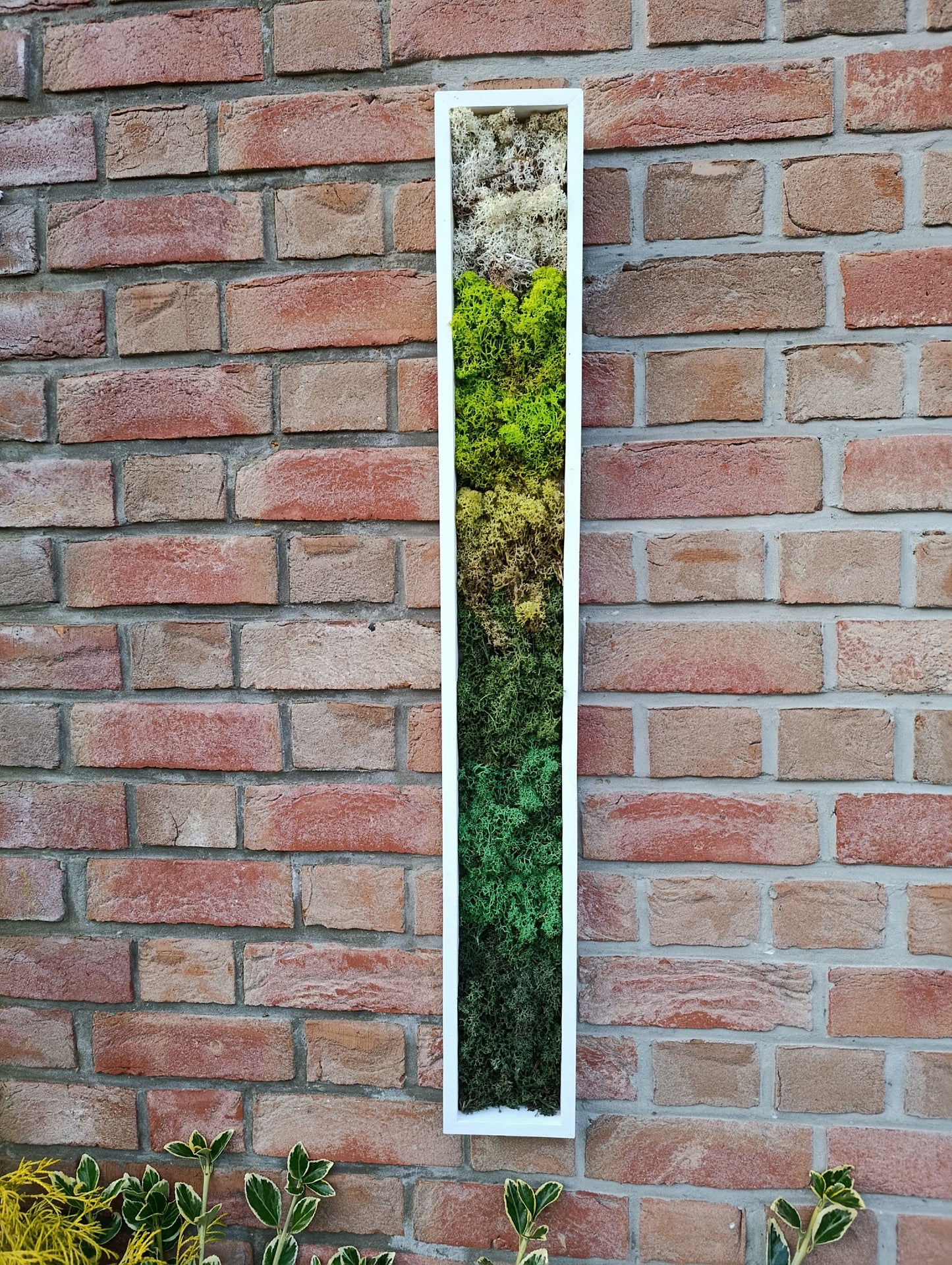 Cadre végétal stabilisé vertical 90x12x3,5cm