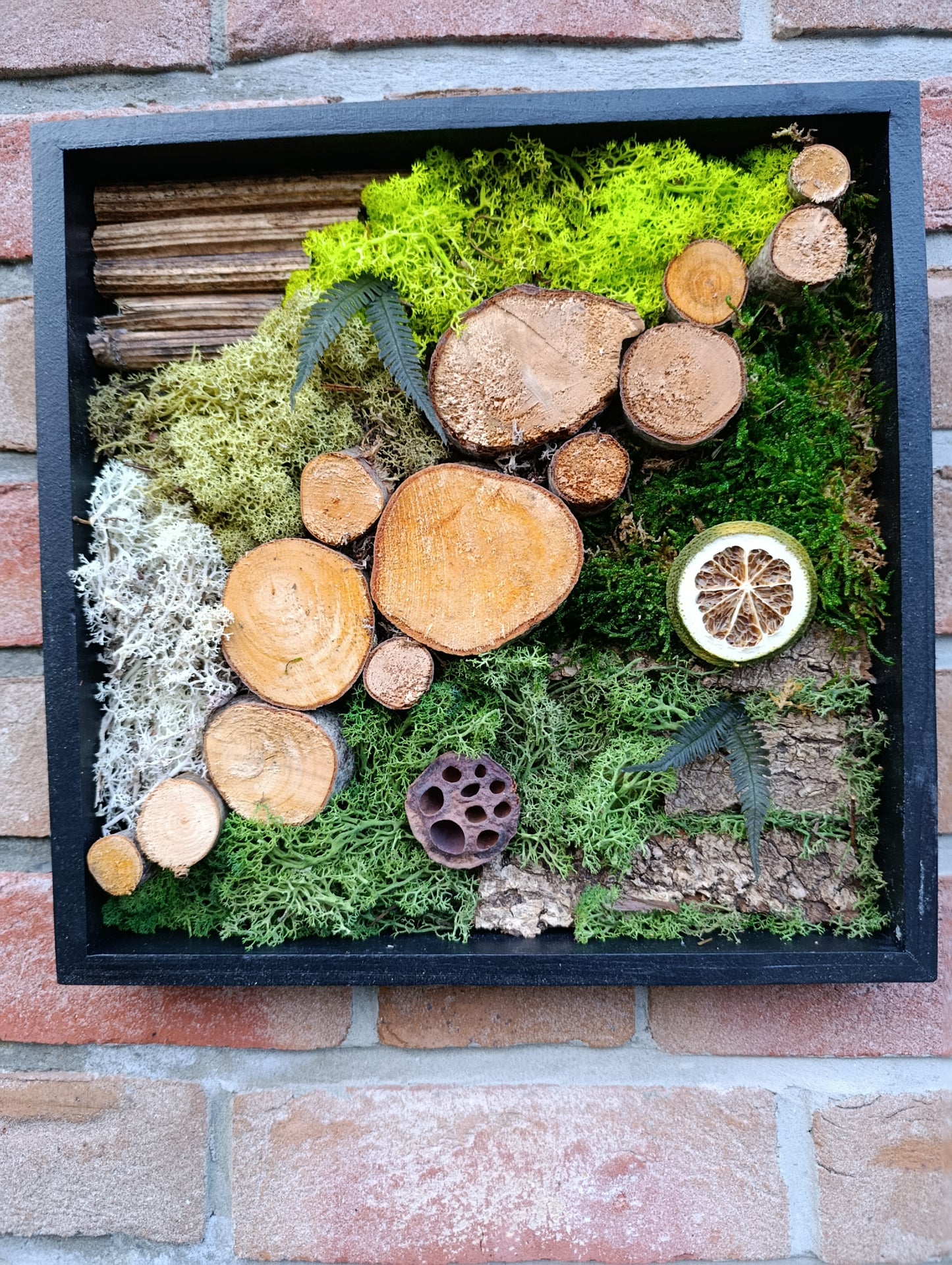 Cadre végétal stabilisé 30x30cm