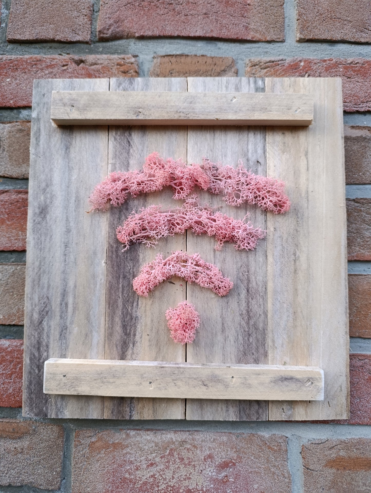 Cadre végétal wifi rose